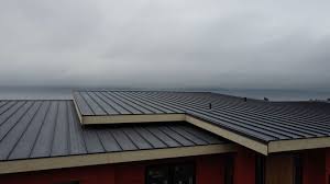 Best Rubber Roofing (EPDM, TPO)  in New Waverly, TX